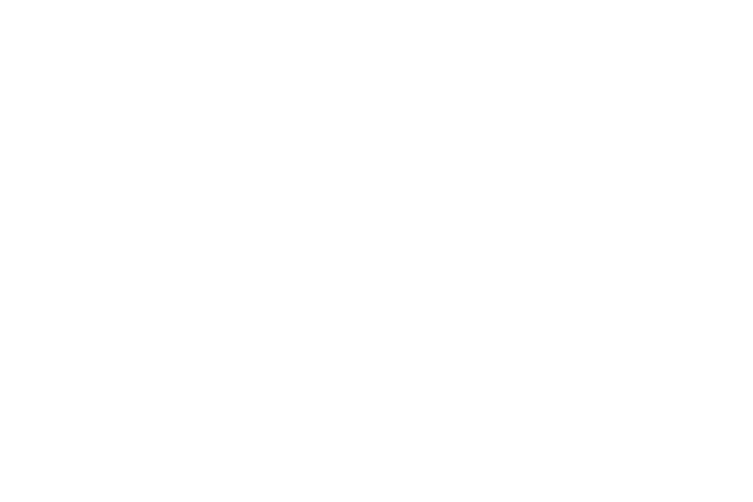 Kundenlogo SSS