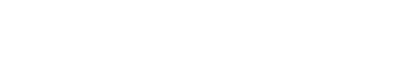 Logo LiteOn