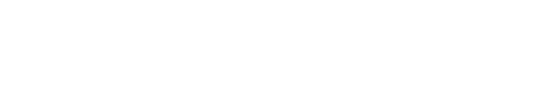 Logo irdeto