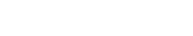 Logo pionix